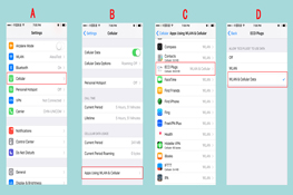 How to activate the Cellular data for ECO Plugs App.